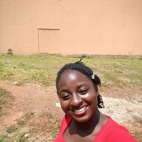 Oluchukwu O. profile photo