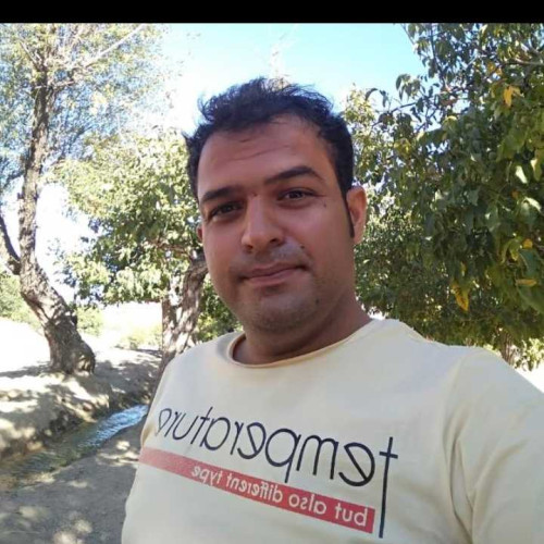 morteza m. profile photo