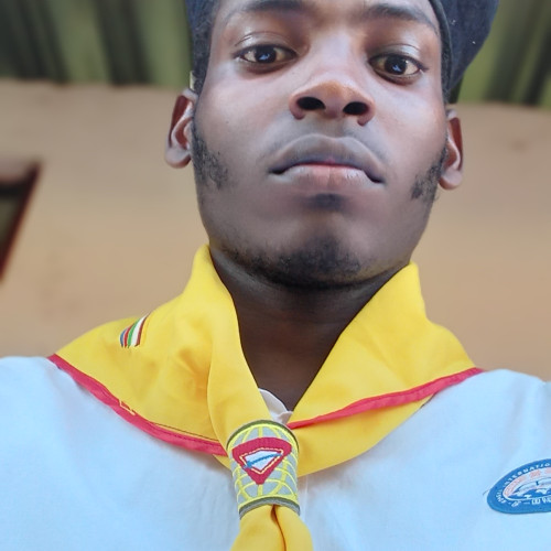 David k. profile photo