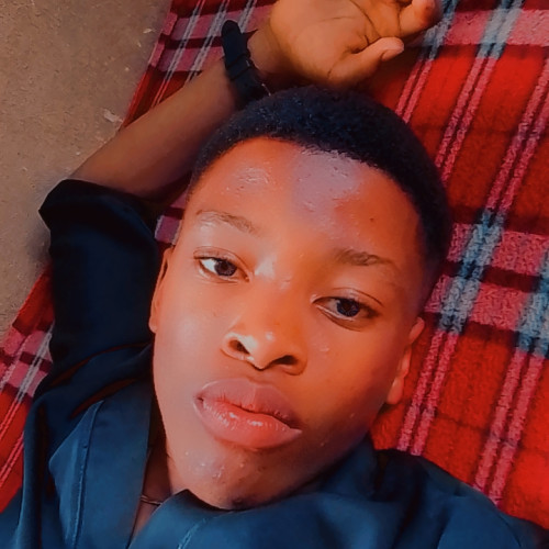 Chisom B. profile photo