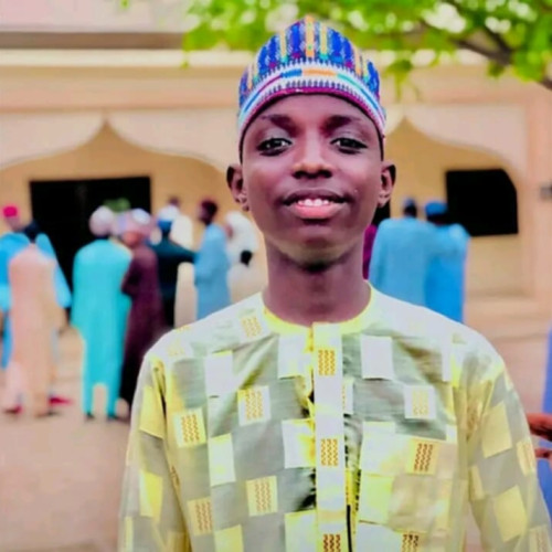 Ibrahim Waziri  s. profile photo