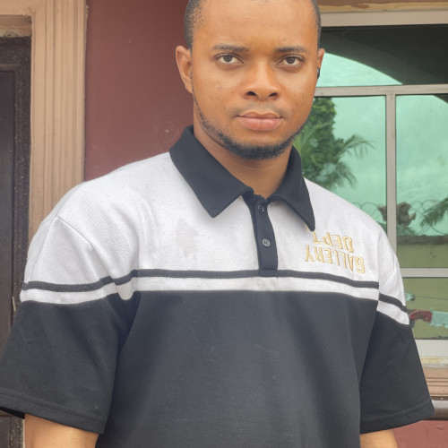 chibuike P. profile photo