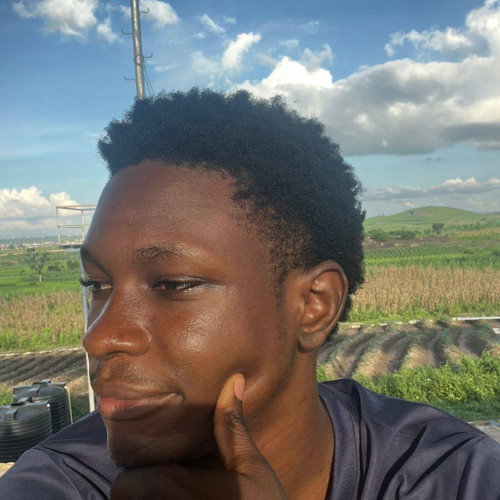 Raphael  B. profile photo