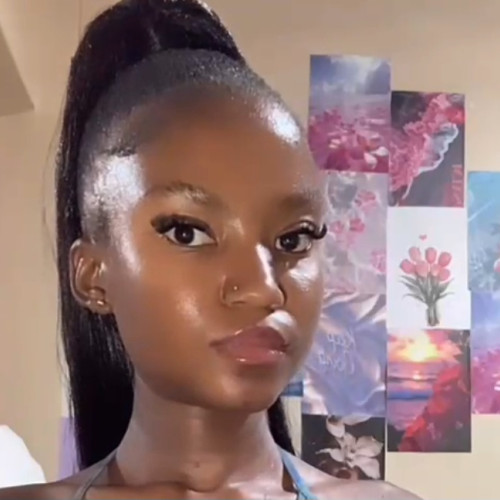 Thefemalevillian V. profile photo