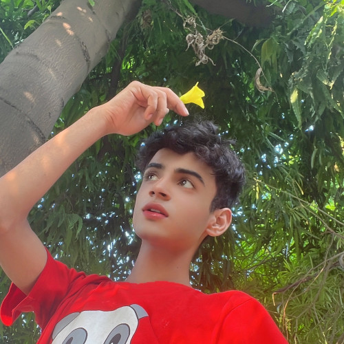 Vishal K. profile photo