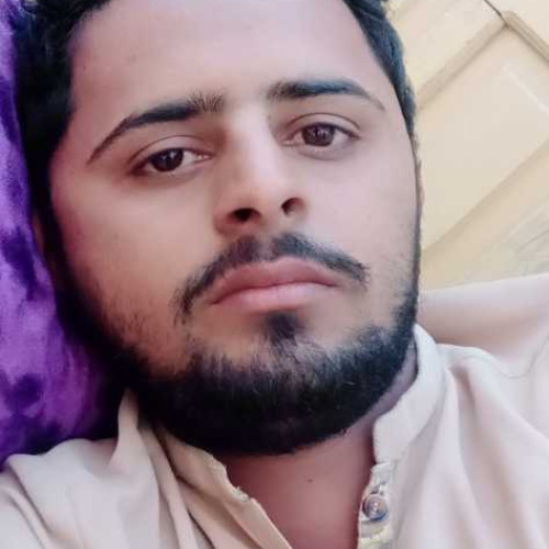 Shahzad A. profile photo