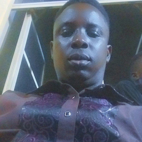 Olusegun  O. profile photo