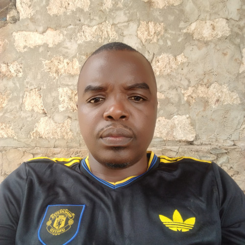 david n. profile photo