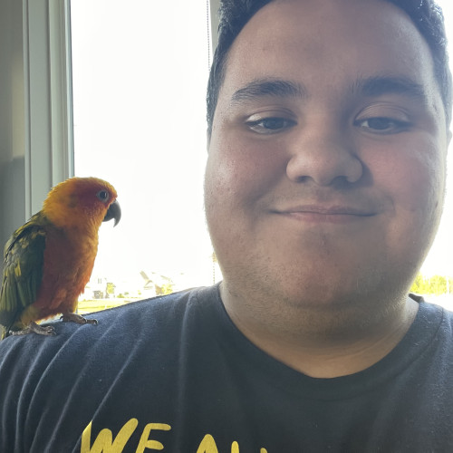 Rehan N. profile photo
