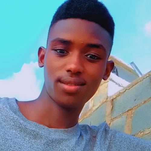 Dauda M. profile photo