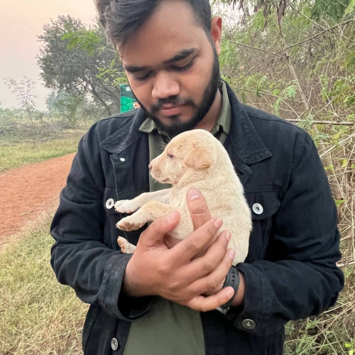 Amit G. profile photo