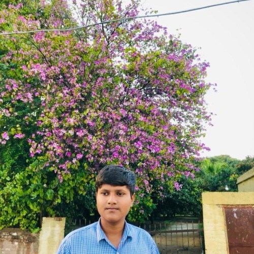 Parveen S.