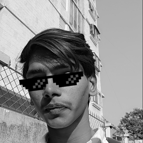 Shaikh  R. profile photo
