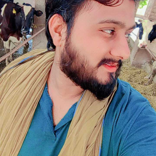 Abdul R. profile photo