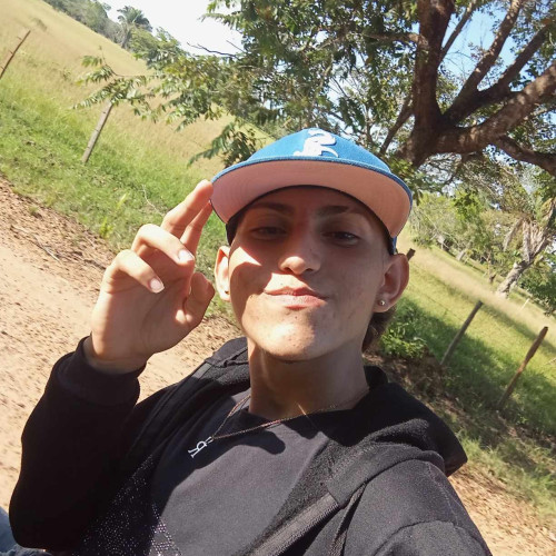 Leonardo  C. profile photo