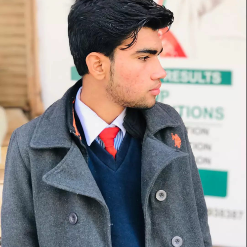 Hanzla I. profile photo