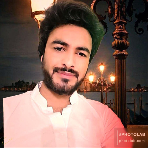 Tofail N. profile photo