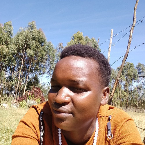 Sharon N. profile photo