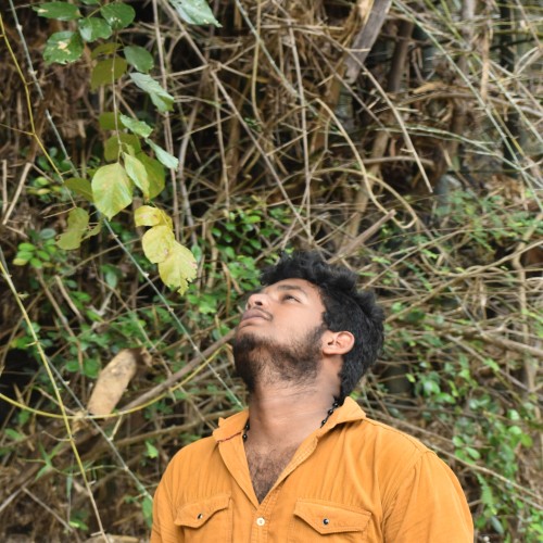 Vinay V.