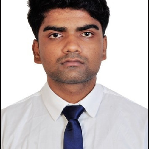 Sacchi K. profile photo