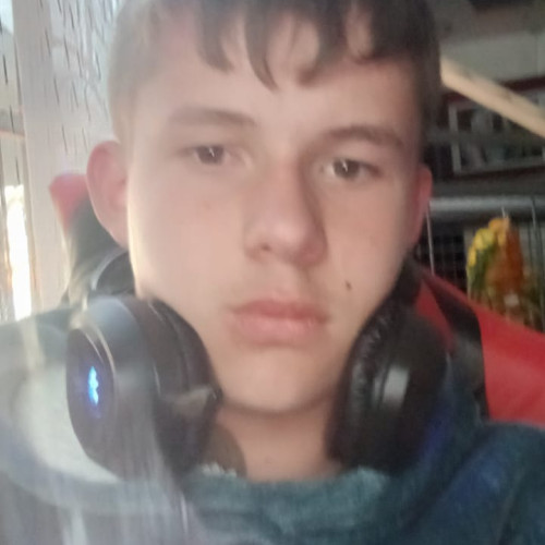 Alexander P. profile photo