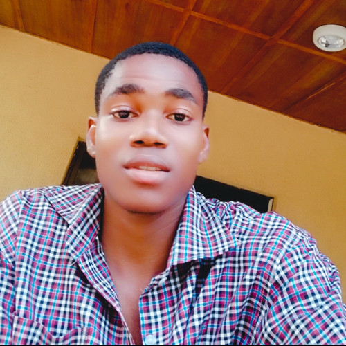 Chinonso E. profile photo