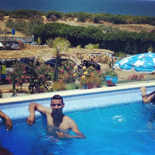 Alfo A. profile photo