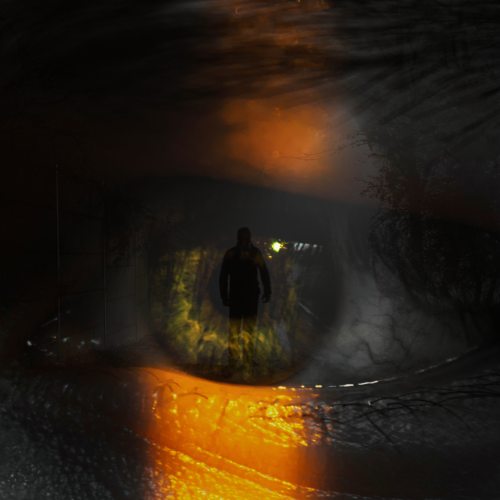 zakaria n. profile photo