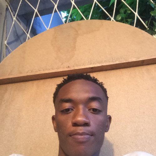 Afonso N. profile photo