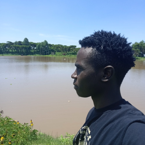 lewis k. profile photo