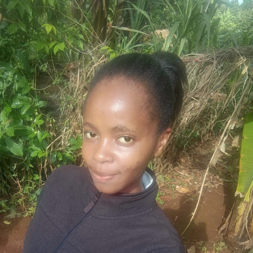 Janet N. profile photo