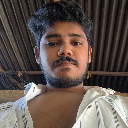 pavan k.