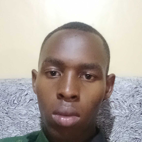 stephen N. profile photo