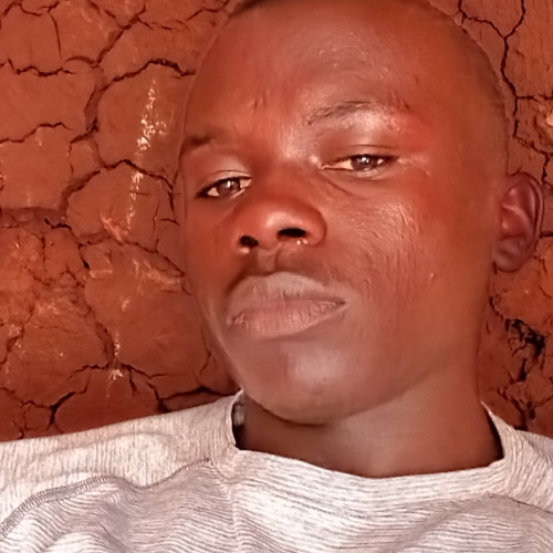 Steve J. profile photo