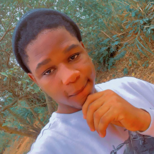 Mimi  O. profile photo