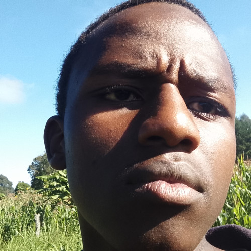 Lewis L. profile photo