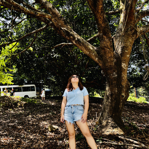 Lindsey B. profile photo