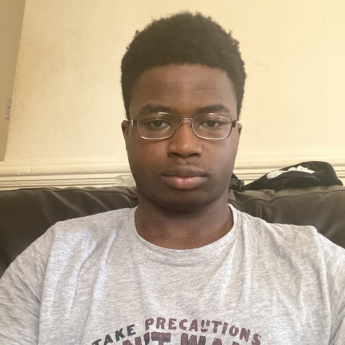 Mayowa O. profile photo
