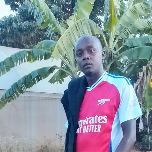 David M. profile photo