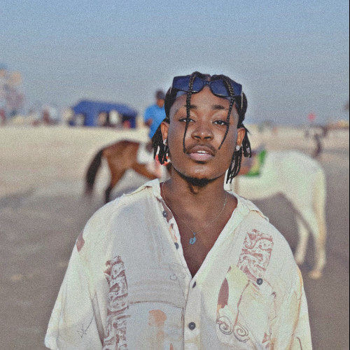 Feyi O.