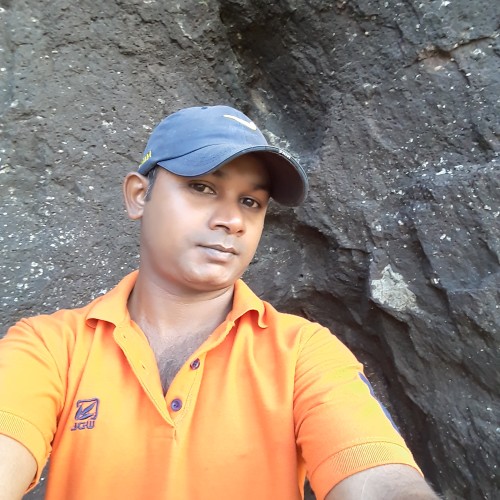 Biswajit A.