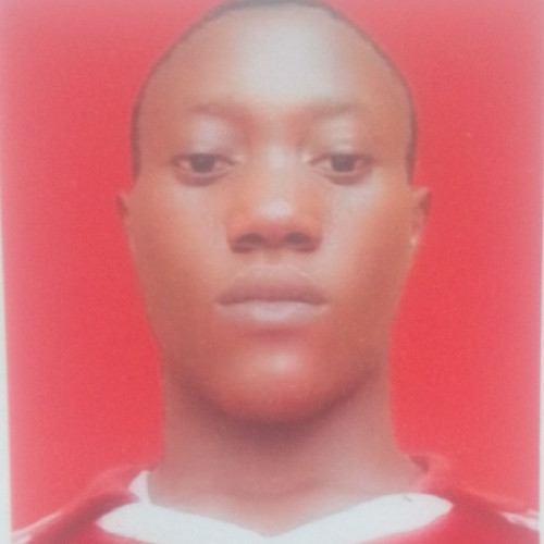 Oluwatobi E. profile photo