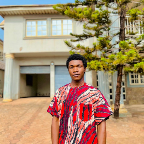 Chukwu O. profile photo