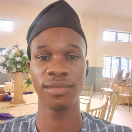 Temitayo I. profile photo