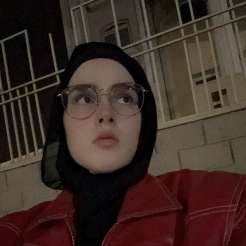 aynur s.