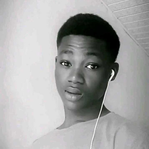 kingstar N.