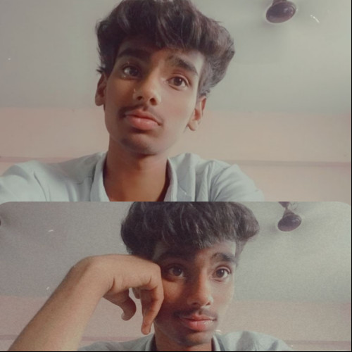 Vikram V. profile photo