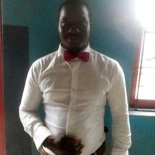 OGUNJOBI SUNDAY O. profile photo