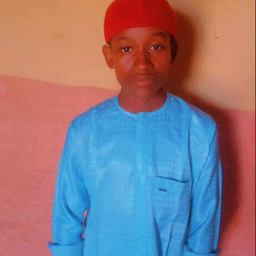 Abdulmajid N.