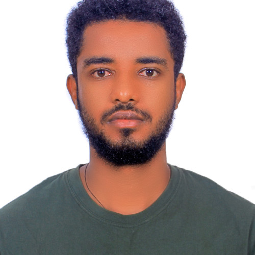 Tsegaye M.
